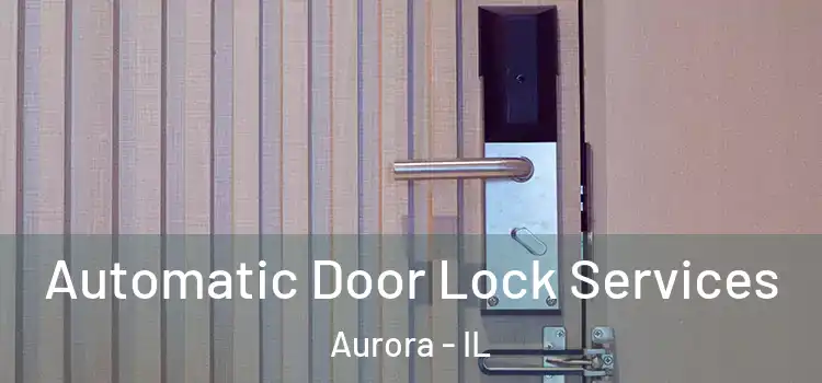 Automatic Door Lock Services Aurora - IL