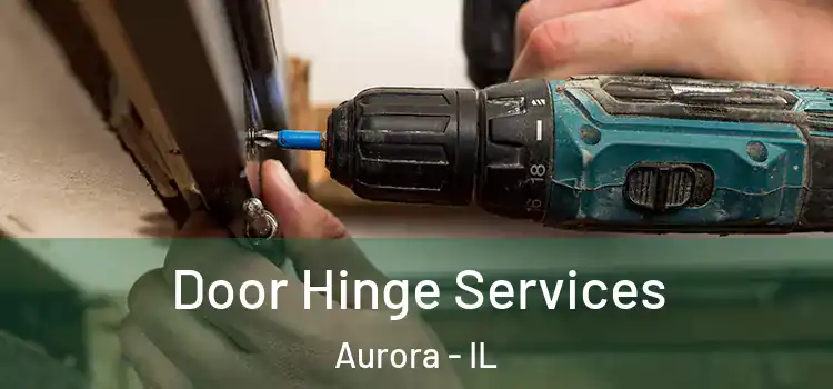 Door Hinge Services Aurora - IL