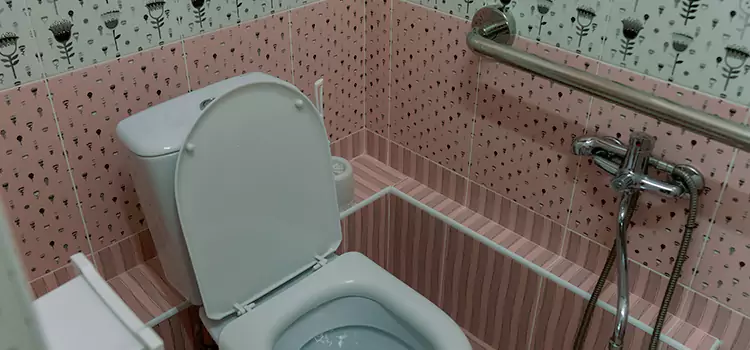 Meeting Diverse Needs With Accessible Restroom Solutions in Aurora, IL