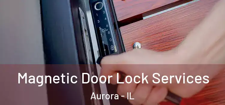 Magnetic Door Lock Services Aurora - IL