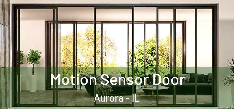 Motion Sensor Door Aurora - IL